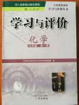2014年學(xué)習(xí)與評(píng)價(jià)九年級(jí)化學(xué)全一冊(cè)人教版