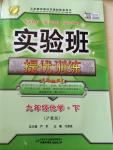 2015年實驗班提優訓練九年級化學下冊滬教版