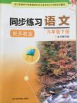 2015年同步練習九年級語文下冊蘇教版