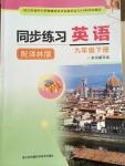 2015年同步練習九年級英語下冊譯林版