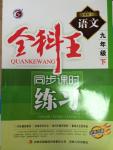 2015年全科王同步課時(shí)練習(xí)九年級(jí)語(yǔ)文下冊(cè)人教版