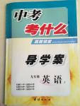 2015年中考考什么高效課堂導(dǎo)學(xué)案九年級英語下冊