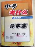 2015年中考考什么高效課堂導學案九年級化學下冊人教版