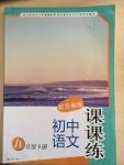 2015年初中語文課課練九年級(jí)下冊(cè)蘇教版