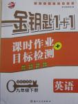 2015年金鑰匙1加1課時作業(yè)加目標(biāo)檢測九年級英語下冊國標(biāo)江蘇版