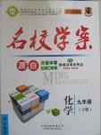 2015年本土教輔名校學案九年級化學下冊人教版