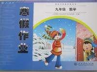 2020年寒假作業(yè)九年級數(shù)學人教版人民教育出版社