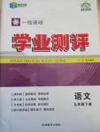 2015年一線調研學業(yè)測評九年級語文下冊蘇教版