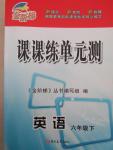 2015年金阶梯课课练单元测六年级英语下册