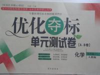 2015年優(yōu)化奪標單元測試卷九年級化學下冊人教版