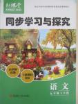 2015年新課堂同步學習與探究九年級語文下冊人教版