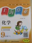 2016年上海作業九年級化學下冊