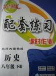 2015年名師點撥配套練習(xí)課時作業(yè)八年級歷史下冊北師大課標(biāo)版