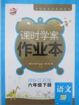 2015年金鑰匙課時學(xué)案作業(yè)本六年級語文下冊江蘇版