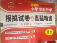 小學畢業(yè)升學模擬試卷及真題精選