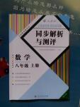 人教金学典同步练习册同步解析与测评八年级数学上册人教版