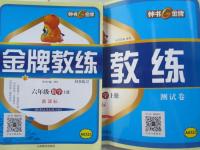 2015年金牌教練六年級數(shù)學(xué)上冊
