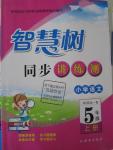 2015年智慧樹同步講練測小學(xué)語文五年級上冊人教版