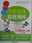 2015年全程導(dǎo)練提優(yōu)訓(xùn)練六年級(jí)語(yǔ)文上冊(cè)江蘇版