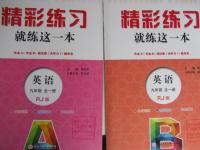 2015年精彩練習(xí)就練這一本九年級英語全一冊人教版