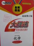 2015年一路領(lǐng)先大提速同步訓練與測評九年級化學全一冊人教版