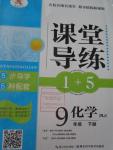 2016年課堂導(dǎo)練1加5九年級化學(xué)下冊人教版