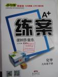 2016年A加練案課時作業(yè)本九年級化學(xué)下冊人教版