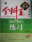 2016年全科王同步課時(shí)練習(xí)九年級(jí)語文下冊(cè)人教版