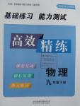 2016年高效精練九年級(jí)物理下冊(cè)江蘇版