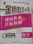 2016年金鑰匙1加1課時(shí)作業(yè)加目標(biāo)檢測(cè)九年級(jí)化學(xué)下冊(cè)人教版