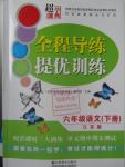 2016年全程導(dǎo)練提優(yōu)訓(xùn)練六年級語文下冊江蘇版