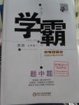 2016年經(jīng)綸學(xué)典學(xué)霸九年級英語下冊人教版