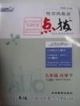 2016年特高級教師點(diǎn)撥九年級化學(xué)下冊魯教版