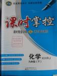 2016年課時(shí)掌控九年級(jí)化學(xué)下冊(cè)人教版