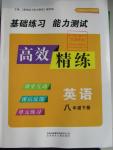 2016年高效精練八年級英語下冊江蘇版