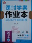 2016年金鑰匙課時學案作業(yè)本九年級語文下冊江蘇版