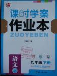 2016年金钥匙课时学案作业本九年级语文下册江苏版