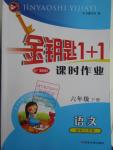 2016年金鑰匙1加1課時(shí)作業(yè)六年級(jí)語(yǔ)文下冊(cè)江蘇版