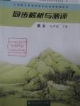 2013年人教金學(xué)典同步解析與測(cè)評(píng)九年級(jí)語(yǔ)文下冊(cè)人教版