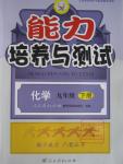 2017年能力培養(yǎng)與測試九年級化學(xué)下冊人教版