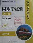 2016年海淀名師伴你學(xué)同步學(xué)練測(cè)八年級(jí)歷史下冊(cè)北師大版