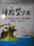2016年體驗型學案體驗新知高效練習八年級數學下冊人教版