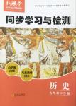 2016年新課堂同步學(xué)習(xí)與探究九年級歷史下冊人教版