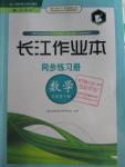 2016年長江作業(yè)本同步練習冊九年級數學下冊人教版