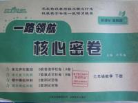 2016年一路領(lǐng)航核心密卷六年級(jí)數(shù)學(xué)下冊(cè)冀教版