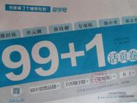 2016年99加1活頁卷八年級思想品德下冊人教版