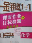 2016年金鑰匙1加1課時(shí)作業(yè)加目標(biāo)檢測(cè)九年級(jí)化學(xué)下冊(cè)上海版