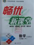 2016年暢優(yōu)新課堂七年級數(shù)學下冊人教版