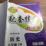 2016年名師點撥配套練習(xí)課時作業(yè)八年級歷史下冊北師大版