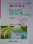 2016年課課練九年級(jí)初中語(yǔ)文下冊(cè)